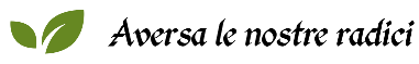 aversalenostreradici.com